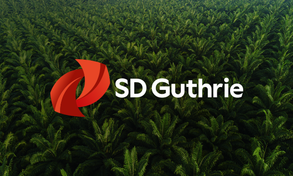 Thumb-SDG-600x360.png